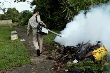 Piden mayor apoyo de la población en combate al ‘Aedes aegypti’