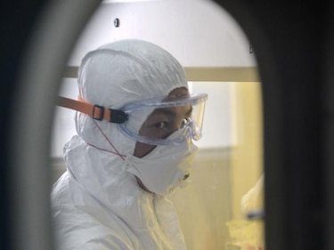 Detectan virus H7N9 en un mercado avícola en el sur de China