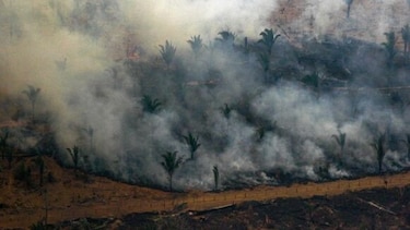 G7 desbloqueará ayuda de emergencia para enviar aviones hidrantes a la Amazonía