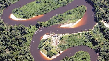 Guerra de aranceles llega a los bosques