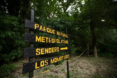 Consulta pública del plan de manejo del Parque Natural Metropolitano finaliza el 25 de abril