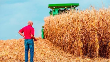 La difícil situación que enfrentan los agricultores en Estados Unidos pone a prueba su apoyo a Trump