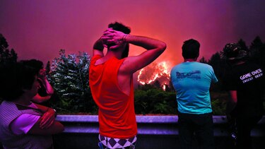 Incendio forestal deja 61 muertos