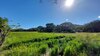 El pulso del campo: agua y comunidad