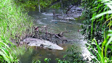 Autoridades inspeccionan el río Cárdenas por mal olor