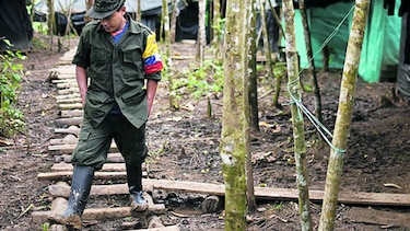 Colombia busca acabar con la violencia