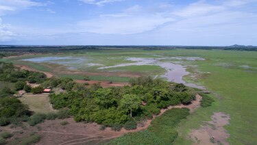 Alcalde de Santa María desconoce proyecto de ley para proteger la Ciénaga de Las Macanas