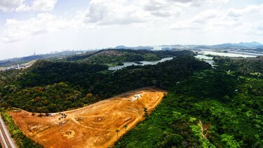 Lago Miraflores, en peligro latente