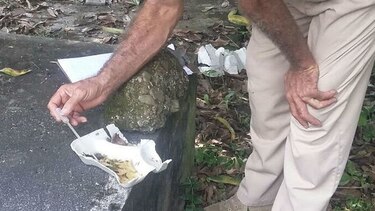 Salud refuerza operativos en Tonosí por casos de virus hanta