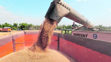 Precios mundiales de los alimentos caen