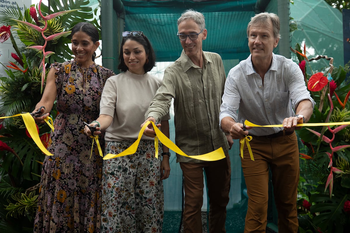 Smithsonian en Panamá inaugura el LepiDomo