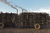 ¿Quiénes usan etanol en el mundo?