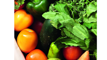 Padres crían a bebés veganos