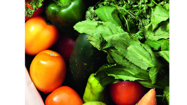 Padres crían a bebés veganos