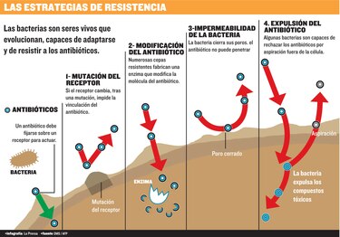 Resistencia a los antibióticos