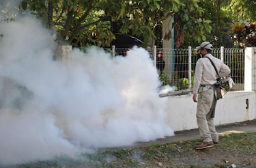 Reportan nuevo caso de virus hanta en Los Santos