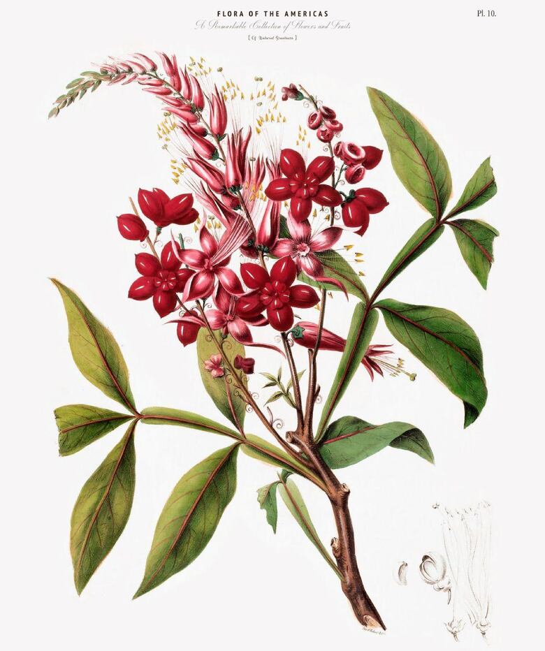 Qué son las ingeniosas cajas de Ward y cómo transformaron la economía mundial