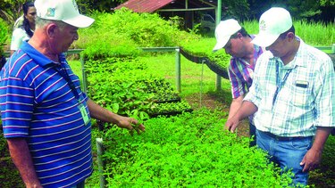 Establecen viveros para la reforestación