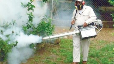 Ministerio de Salud reporta mil 689 casos de dengue