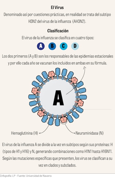 De 10 a 50 contagios: cómo las fiestas navideñas pueden acelerar la influenza