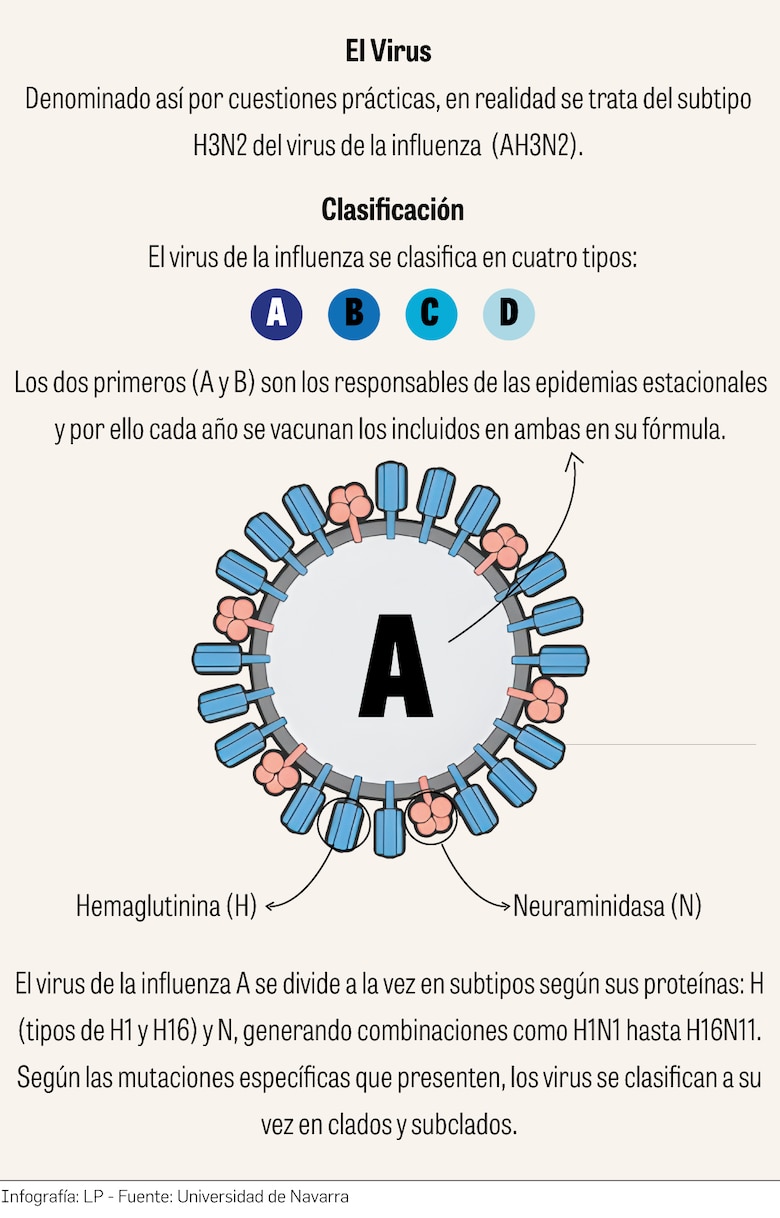 De 10 a 50 contagios: cómo las fiestas navideñas pueden acelerar la influenza