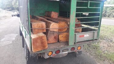 Retienen vehículo con madera de caoba en Pesé