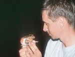 La suerte de hallar una salamandra