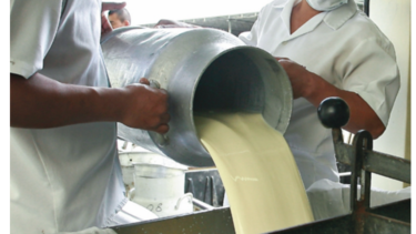 La asociatividad como motor de la industria láctea local