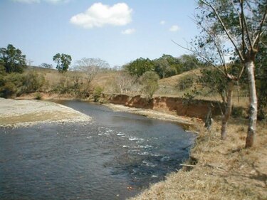 Firman convenio de reforestación en cuenca del río La Villa