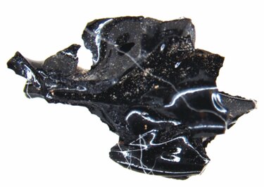 Descubren fragmentos de un cerebro vitrificado