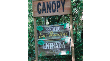 Subastarán administración del ‘canopy’ de Taboga