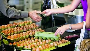 FAO alerta ante crisis de influenza aviar en la región