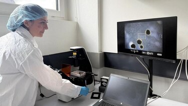 Los minicerebros humanos desarrollados por científicos para "alimentar" computadoras
