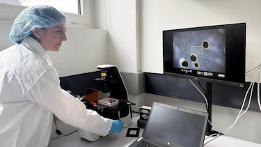 Los minicerebros humanos desarrollados por científicos para "alimentar" computadoras