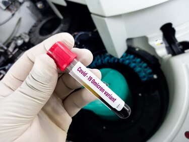 Ómicron tiene un año: la variante más permanente del coronavirus