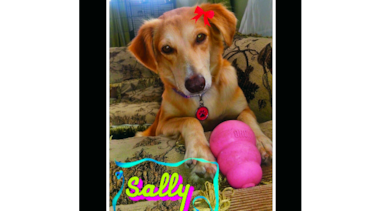 La valiente Sally
