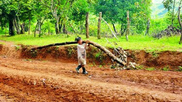 Persiste el trabajo infantil