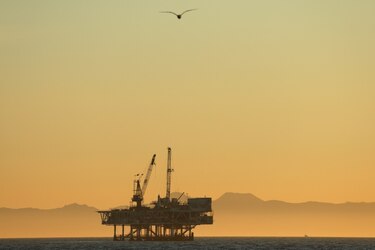 Trump busca revertir protección de especies para promover la extracción energética