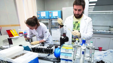 Bicarbonato contra superbacterias