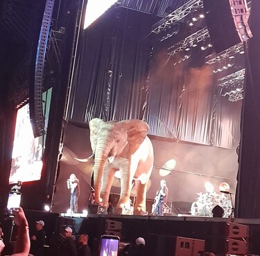 Maná electriza a Panamá con un concierto inolvidable en el Rod Carew