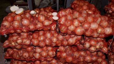 Aprueban la importación de 80 mil quintales de cebolla