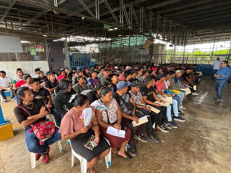 Sobrepasan las 1,600 personas interesadas en trabajar con Chiquita en Bocas del Toro