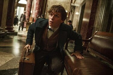 La magia de 'Fantastic Beasts' hechiza la taquilla norteamericana