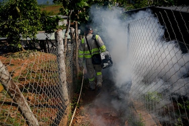 Minsa pide estar alerta ante el inicio de la temporada lluviosa para evitar casos de dengue