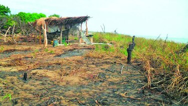 Confirman afectación en área protegida