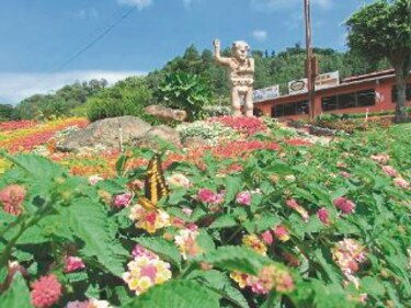 La feria de las flores