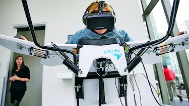 Volando como las aves gracias a la realidad virtual