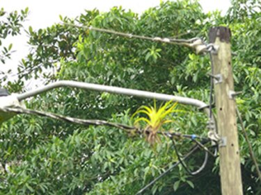 Asep detecta anomalías en la red eléctrica del país