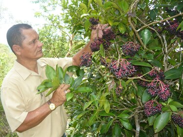 Evalúan la biodiversidad de la reserva La Tronosa de Los Santos