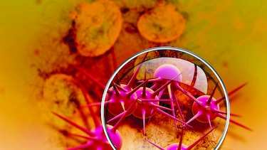 Cáncer afecta a latinos